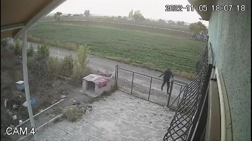 Bahçe kapısından atlayıp köpeği böyle çaldı