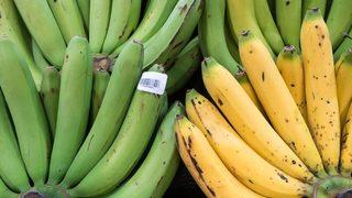 Hızlıca olgunlaştırmanız mümkün! Yeşil muzları hızla olgunlaştırma yöntemi