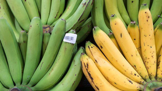 Hızlıca olgunlaştırmanız mümkün! Yeşil muzları hızla olgunlaştırma yöntemi