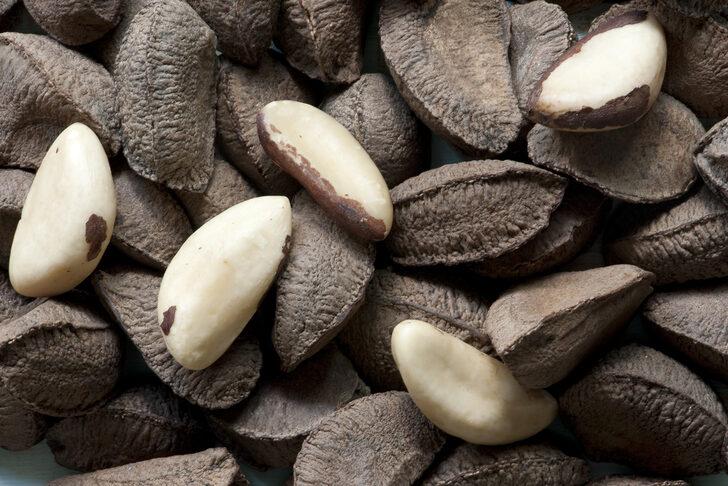 Yararını da zararını da çok az kişi biliyor: Brezilya cevizinin az bilinen etkileri G3