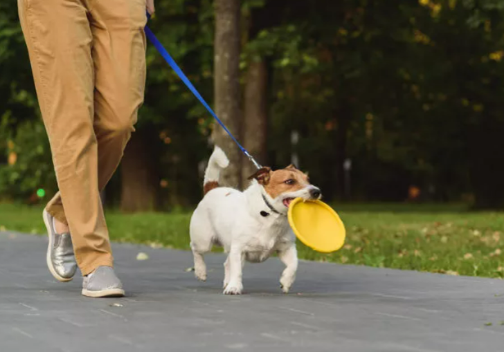 Uzun yaşamın sırrı çözüldü! Bilime göre daha uzun yaşamak için yapmanız gerekenler basit G2