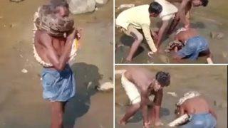 Derede gördüğü pitonu atkı gibi boynuna doladı! Sonrasında olanlar akıllara durgunluk verdi