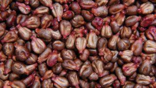 Sakın çöpe atmayın: faydalarını duyunca çok şaşıracaksınız! Kanser riskini azaltıyor!