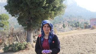 Fiyatı dudak uçuklatıyor! Dünyanın en pahalılarından... Kilosu 100 bin liradan alıcı buluyor