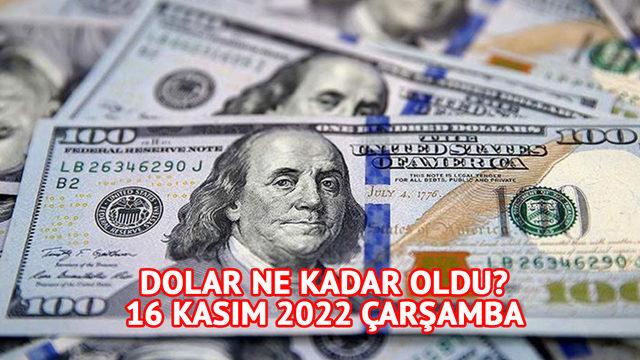 Dolar ne kadar oldu? 16 Kasım 2022 Çarşamba canlı ve anlık Euro ile dolar fiyatları!