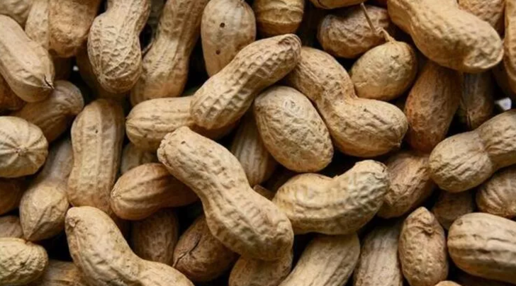 Etten daha fazla protein içeren 7 yiyecek G2