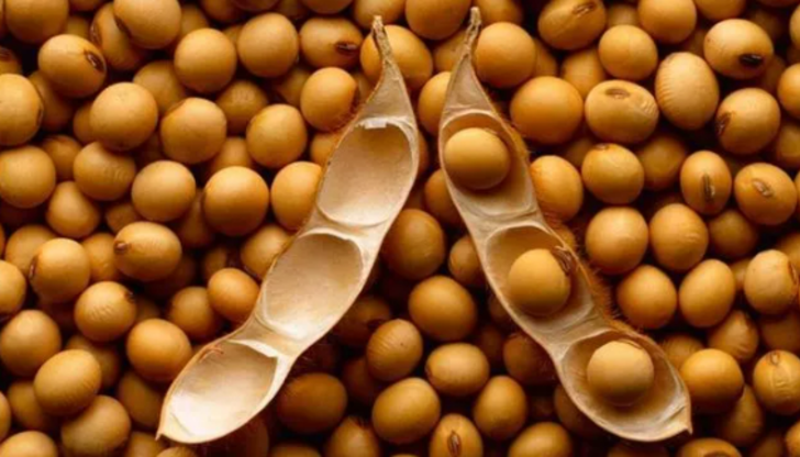 Etten daha fazla protein içeren 7 yiyecek G3