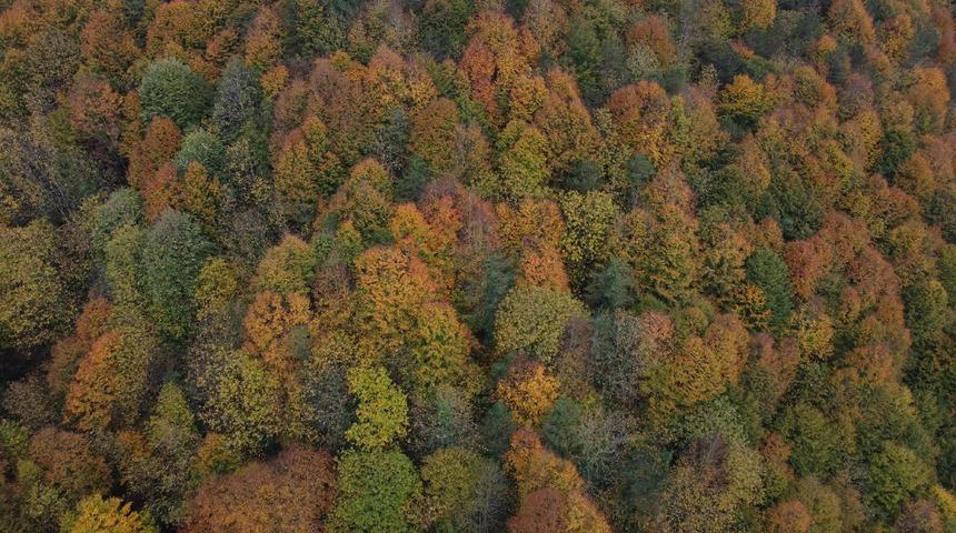 Batı Karadeniz'de sonbahar renkleri arasında yolculuk