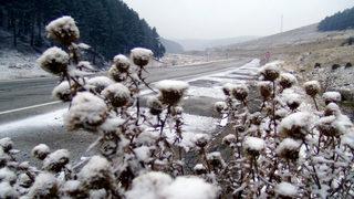 Kars’ın yüksek kesimlerinde kar yağışı etkili oldu