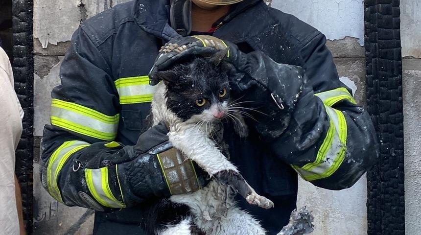 Bodrum'da otelde çıkan yangın paniğe neden oldu