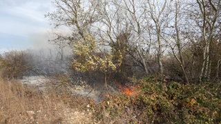 Bursa'da ağaçlık alanda çıkan yangın söndürüldü