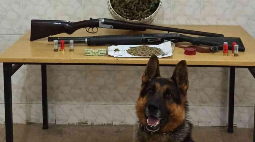 Sakarya’da 4 kilogram esrar ele geçirildi: 2 gözaltı