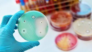 DSÖ antibiyotik direnci için alarm zillerini çalıyor!