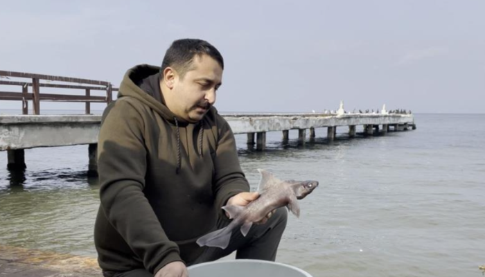 Yalovalı balıkçının oltasına takıldı! Türk denizinde çok nadir