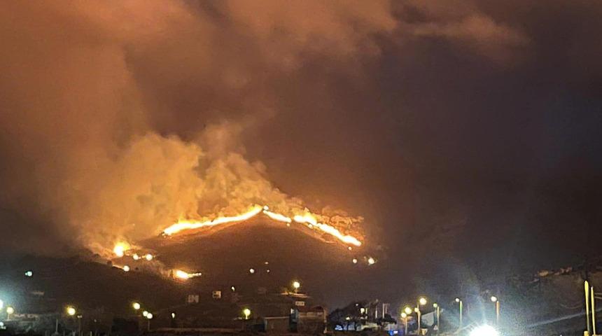 Gökçeada'da otluk alanda çıkan yangın kontrol altına alındı