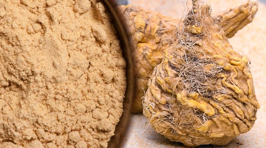 Savaşmak yerine sevişmeye başladıkları için yasaklandı! Maca kökü tozu nedir, maca tozu ne işe yarar?