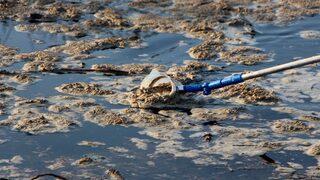 Meriç Nehri'nde görüldü, hemen incelemeye alındı! 'Nehir çığlık atıyor'