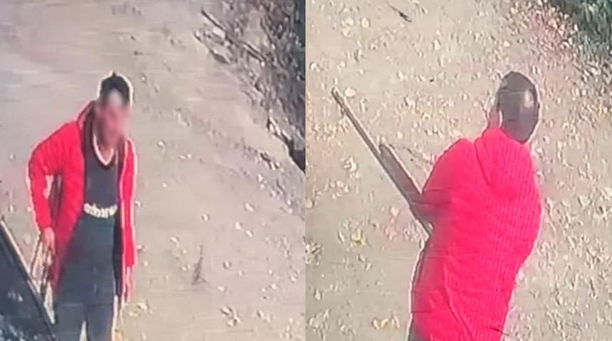 Sokak köpeğini tüfekle vurdu! "Görüntüleri izledim şok oldum, inanamadım... İnsanlık dışı bir şey bu"