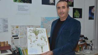 Türkiye'de yeni bir bitki türü keşfedildi! Bilim dünyasından Adıyaman halkına uyarı: Çok titiz davranın