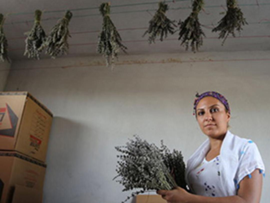 Lavanta Kokulu Kelebekler projesi ile hayatını değiştirdi