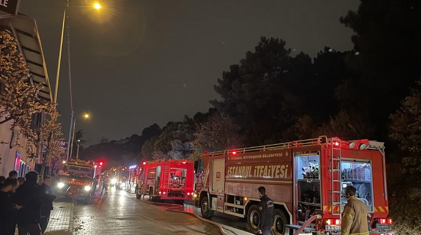 Kartal'da çıkan orman yangını söndürüldü