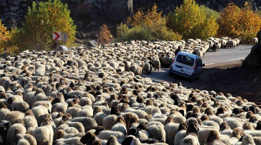 Göçerlerin dönüş yolculuğu