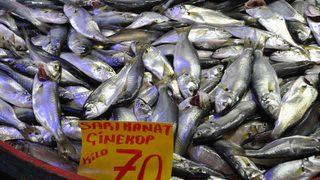 Mudurnu’da pazar tezgahlarında balık bolluğu