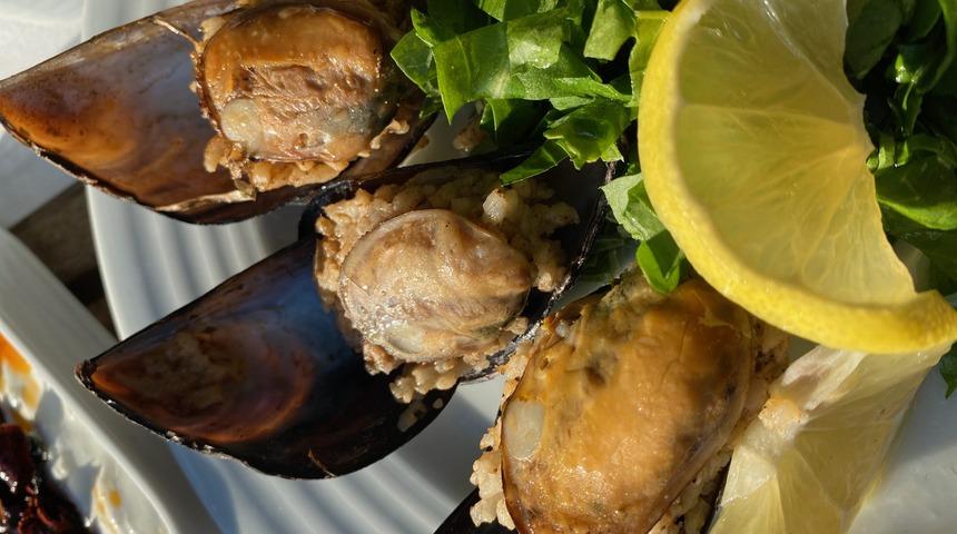 MasterChef midye dolma tarifi! Midye dolma evde nasıl yapılır, malzemeleri nelerdir? İşte Mehmet Şef'ten püf noktası!