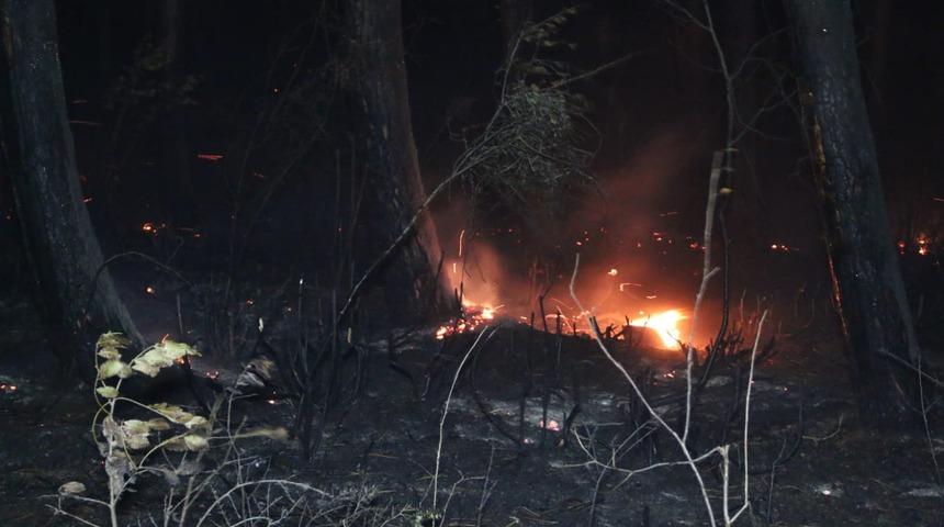 Kocaeli'de yaklaşık 15 dönümlük ormanlık alan yandı