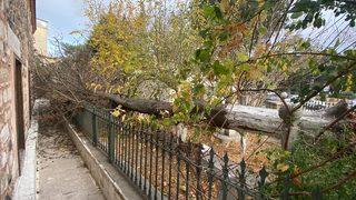 Trakya'da sağanak ve şiddetli rüzgar etkili oldu