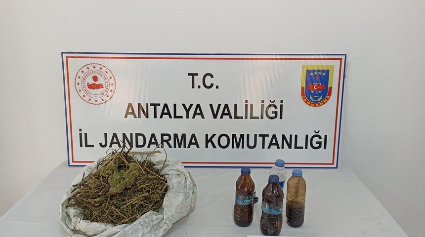 Antalya'da muz bahçesinde esrar ele geçirildi, bir şüpheli gözaltına alındı