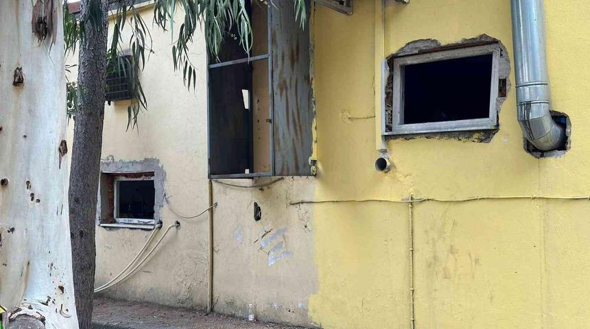 Kedi sandılar, gerçeği öğrenince şaşkına döndüler