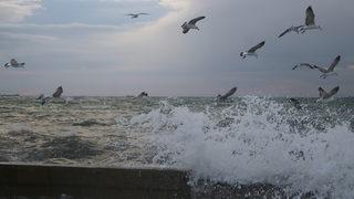Tekirdağ'da ulaşıma lodos engeli