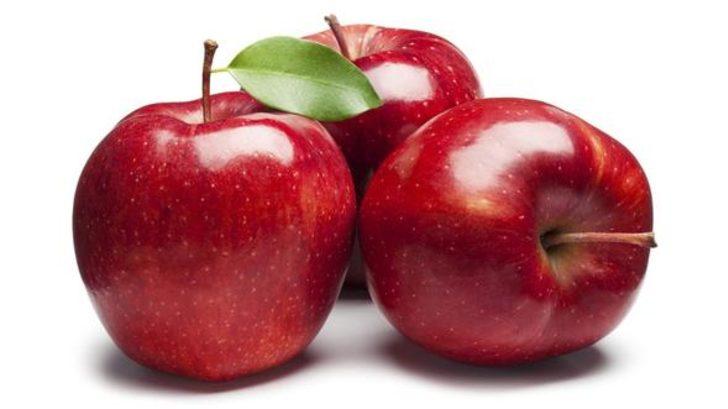 İşte insanlığın çokça merak ettiği soruların yanıtları G1