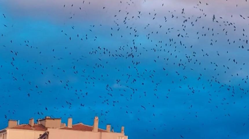 Gerçek hayatta korku filmini yaşadılar! "Bunlar çıldırmış" Sonra bir anda ortadan kayboldular...