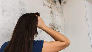 Sağlığınızı tehlikeye atıyor!  Evdeki küften ve rutubetten kurtulmak için kesin çözüm