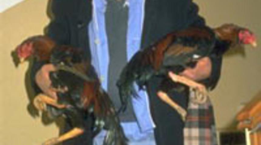 "B&ouml;breklerim ağrıyor" deyip odasına &ccedil;ıktı...