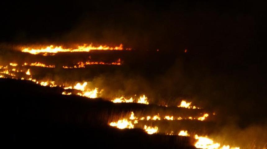 Birçok kuş türüne ev sahipliği yapıyordu! Günlerdir alev alev yanıyor... Ekiplerin müdahalesi sürüyor