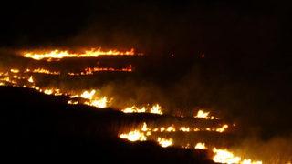 Birçok kuş türüne ev sahipliği yapıyordu! Günlerdir alev alev yanıyor... Ekiplerin müdahalesi sürüyor