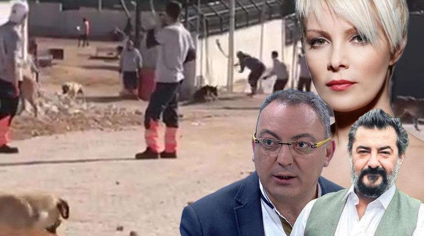 Konya'da hayvan barınağında infial yaratan görüntüler, ünlü isimlerden tepki yağdı! 'Hiçbir avukat savunmak istemedi, CMK sistemini kapattılar'