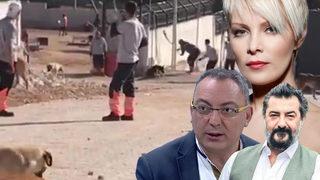 Konya'da hayvan barınağında infial yaratan görüntüler, ünlü isimlerden tepki yağdı! 'Hiçbir avukat savunmak istemedi, CMK sistemini kapattılar'