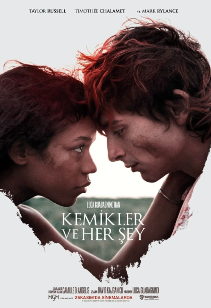 Sinemaseverleri mutlu edecek haftanın filmleri! 7 film birden vizyona girdi (25 Kasım 2022) G1