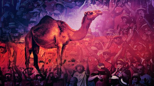 Koronavirüsten daha ölümcül! 'Deve gribi' alarmı: İnsandan insana bulaşıyor, Dünya Kupası'ndan yayılabilir