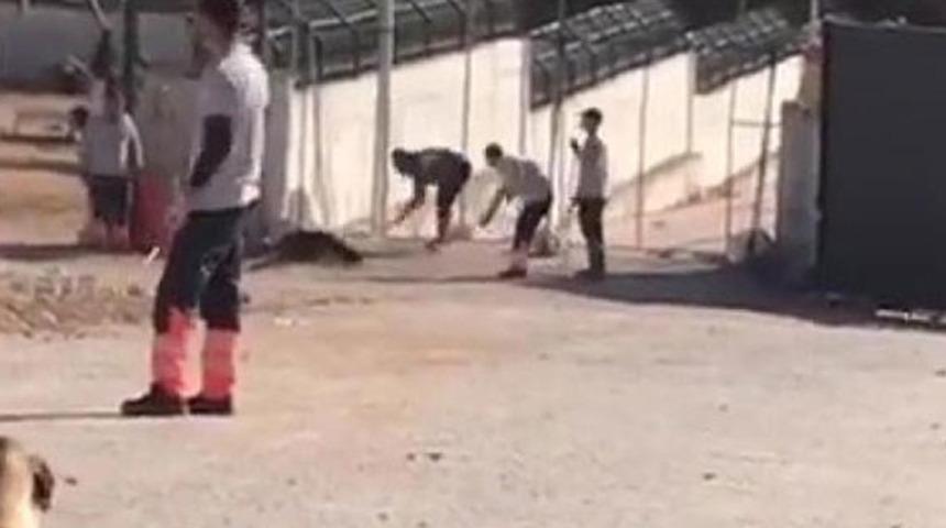 Son dakika: Konya'da köpeğe eziyet görüntüleri Türkiye'de gündem olmuştu! İki şüpheli tutuklandı