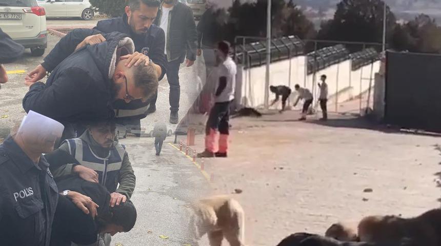 SON DAKİKA  Konya'da infial yaratan görüntüler! 2 kişi tutuklandı, ifadeler ortaya çıktı: Kendimi korudum