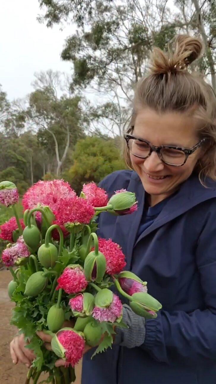Düğünler için dekoratif çiçek yetiştirdiğini düşünüyordu! Aslında yasaklı madde yetiştiriyormuş G3