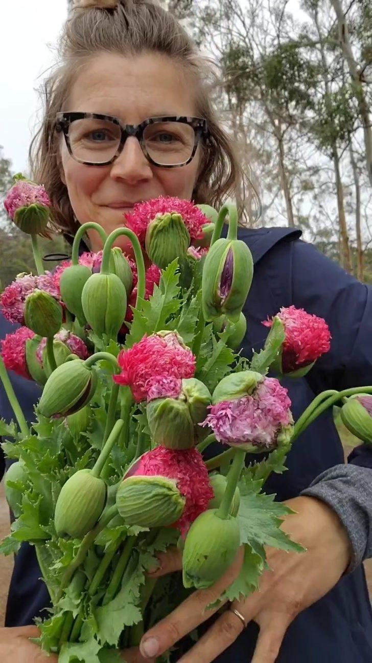 Düğünler için dekoratif çiçek yetiştirdiğini düşünüyordu! Aslında yasaklı madde yetiştiriyormuş G2