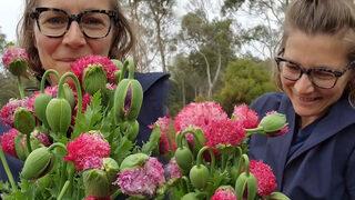 Düğünler için dekoratif çiçek yetiştirdiğini düşünüyordu! Aslında yasaklı madde yetiştiriyormuş