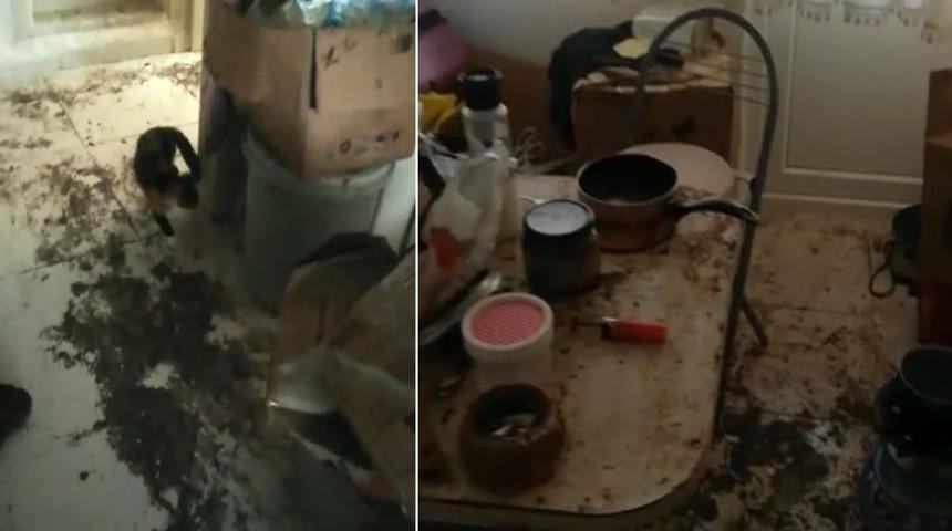 6 aydır kira alamadığı eve girince şoka girdi: O kadın gelsin buraya, şu hale bakın