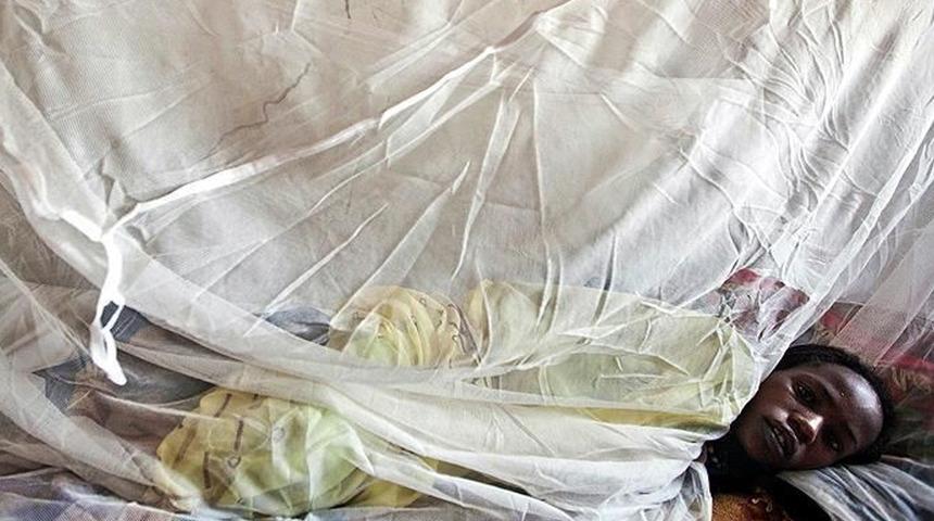 Afrika ülkesinde 'Lassa ateşi' salgını! Ölü sayısı yükseliyor